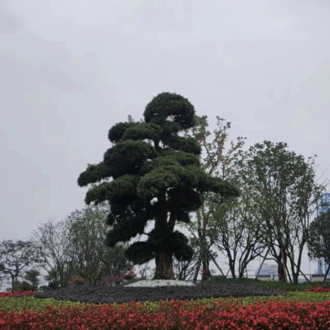 鸿盛达生态农园