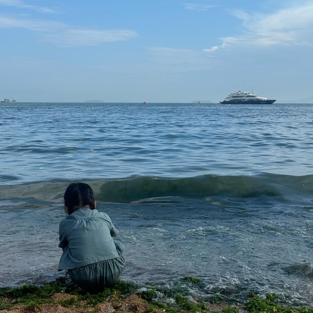 郑正好 茄子代收