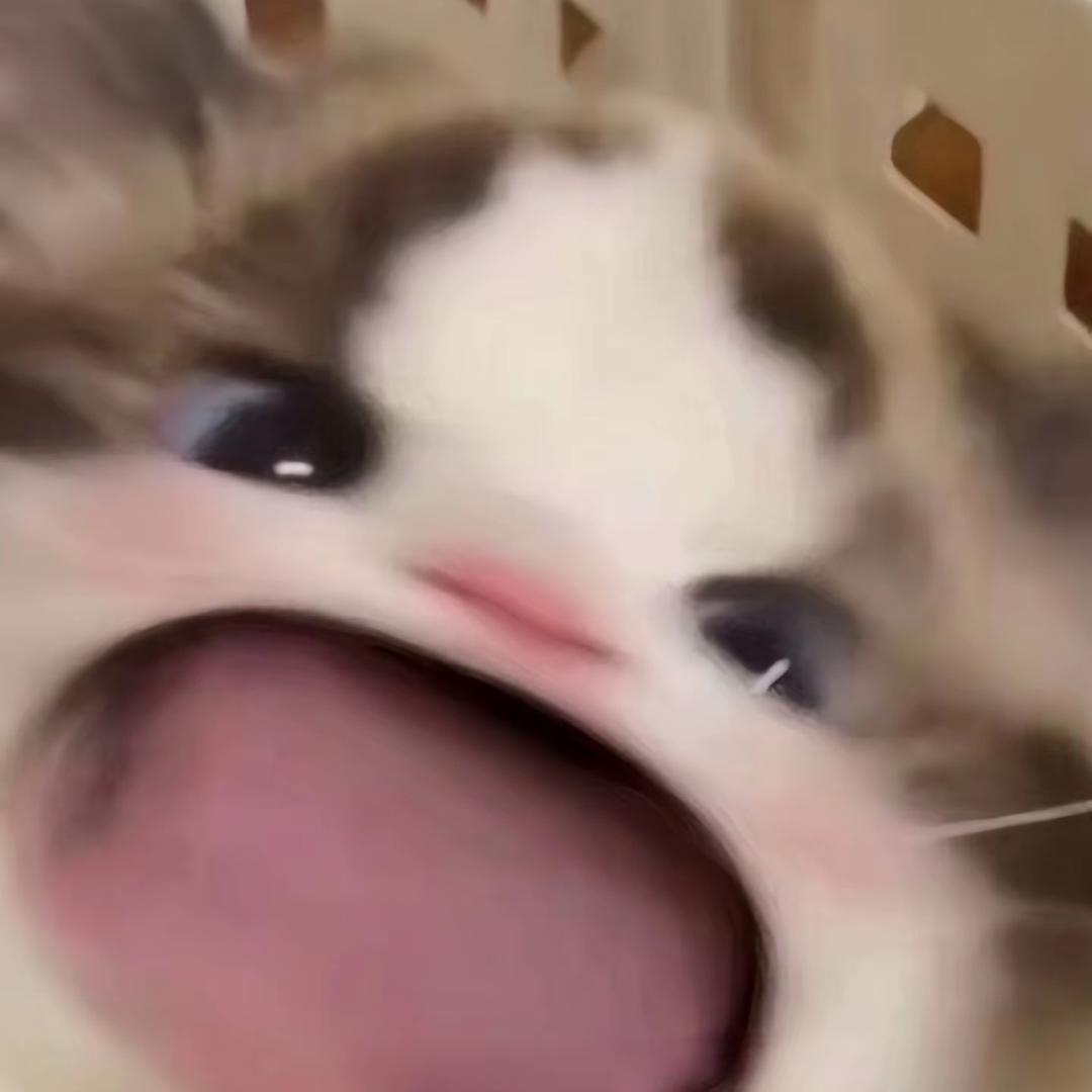 Cat.Q.