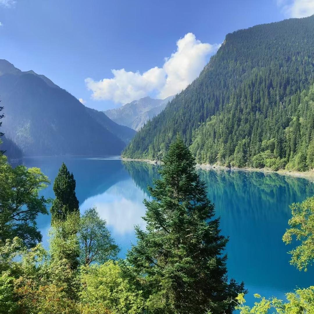 👀🀄️星河已尽