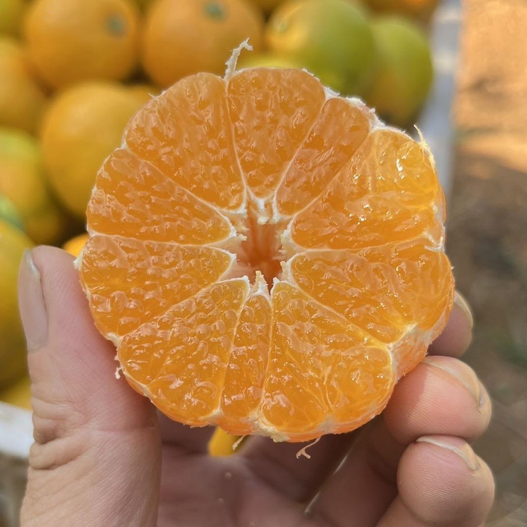 🍊橘香园