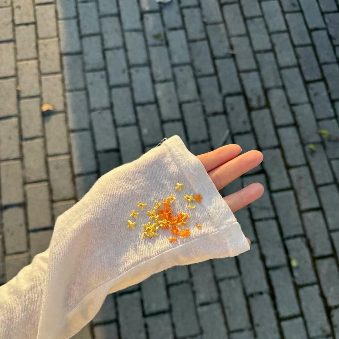 好ᨶ႒ᩚ运ᥫᩣ໌້ᮨ