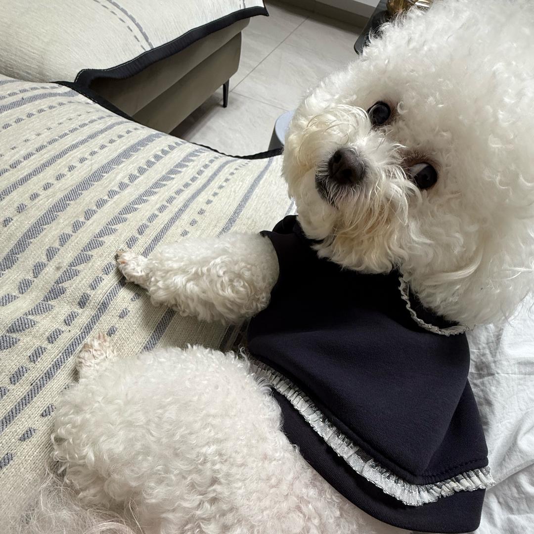 我妈从小夸我美