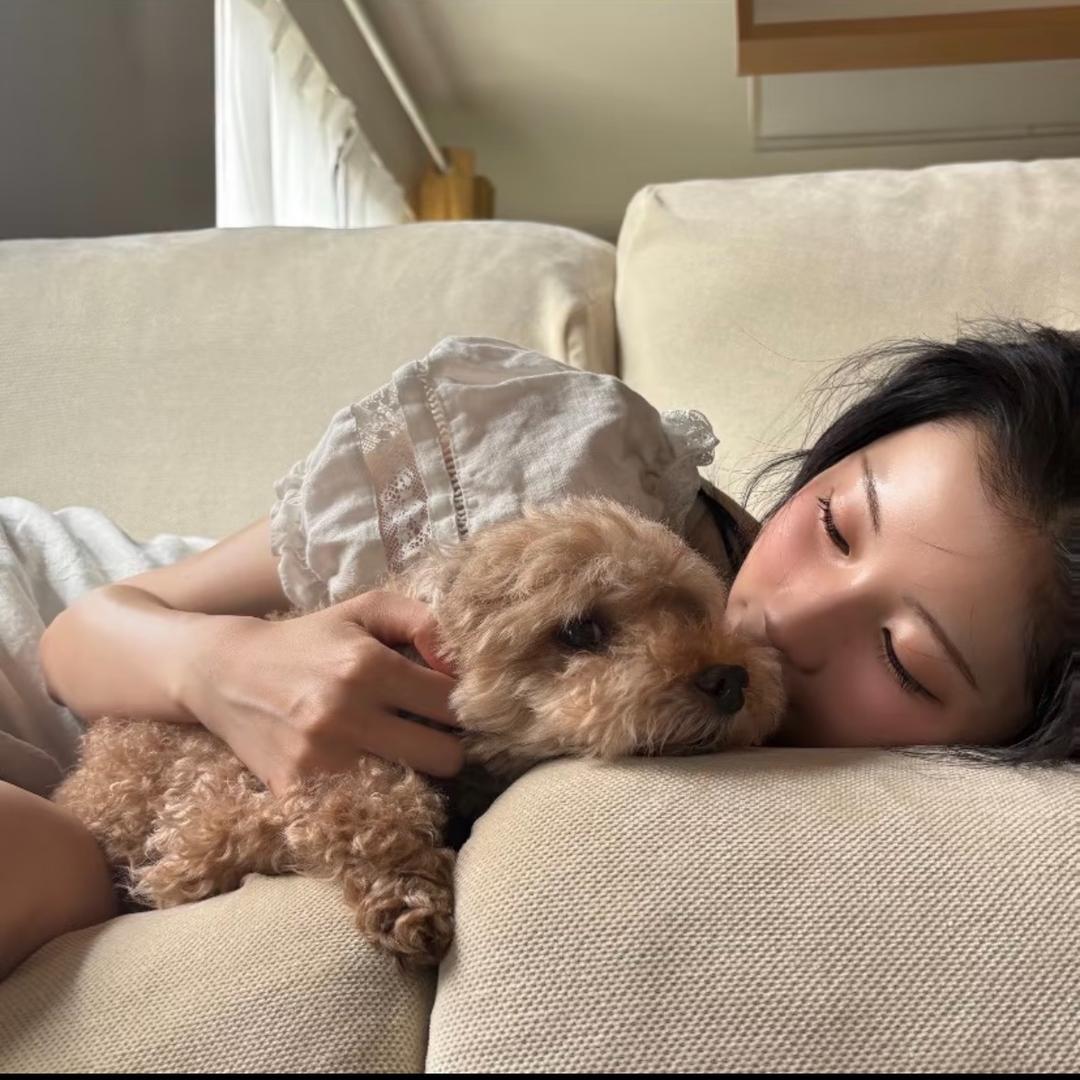 ^呆呆猪^..