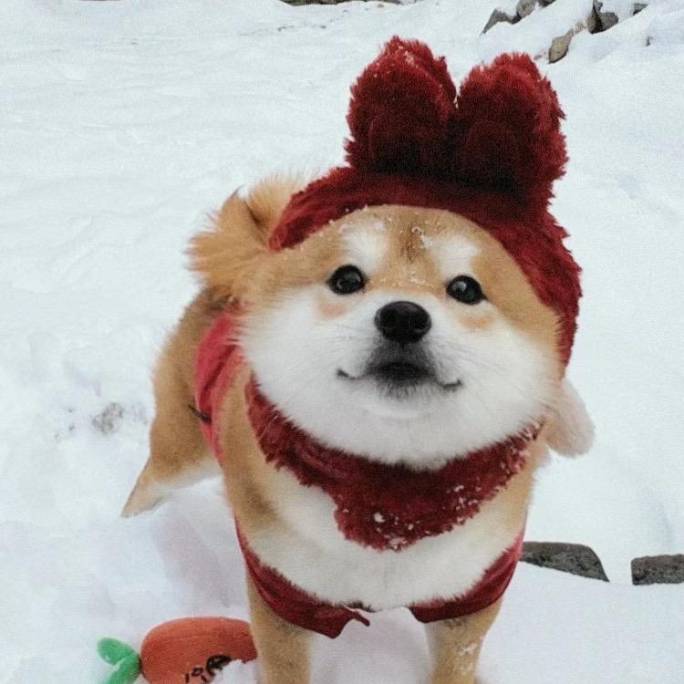暮暮发光时