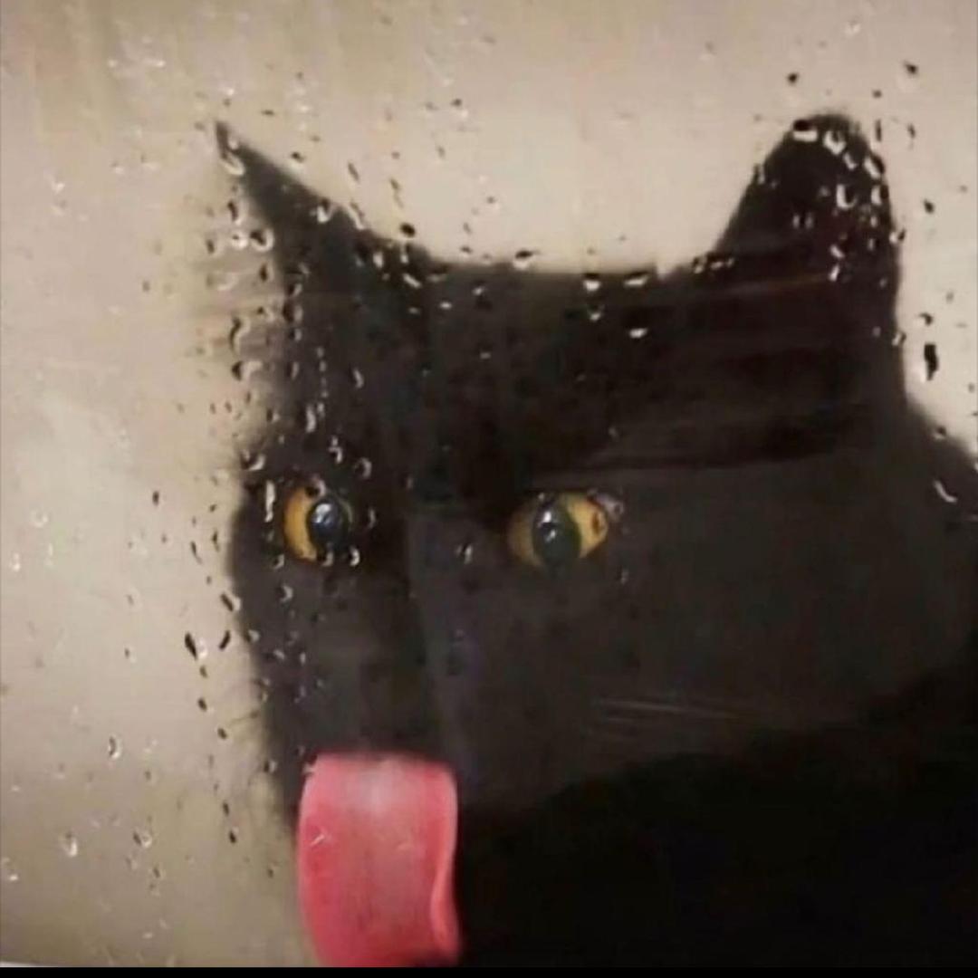 其实我们谁都不是医生