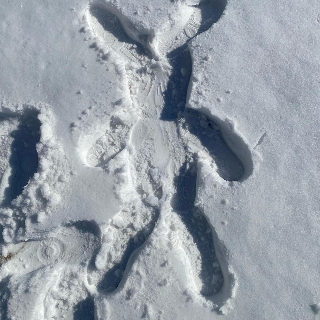 点点不爱吃粮🍂