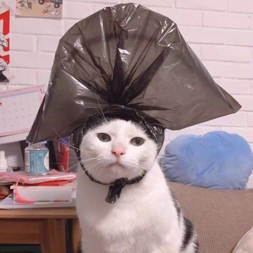 呱喵的指甲盖
