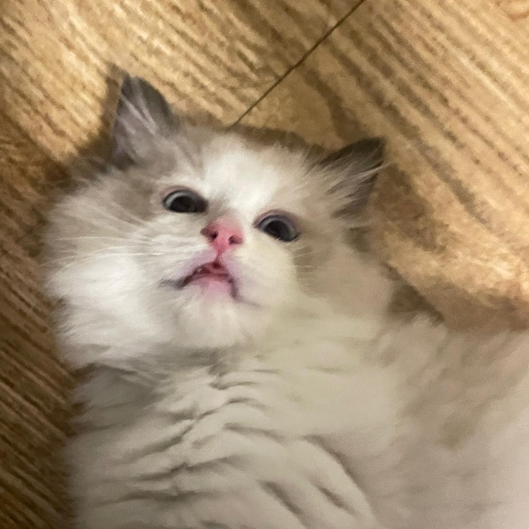 好运加满$