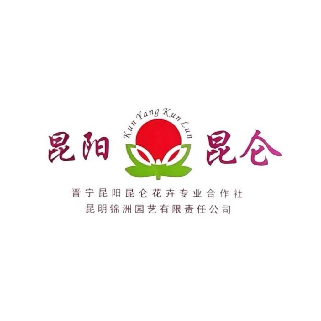 昆阳昆仑花卉