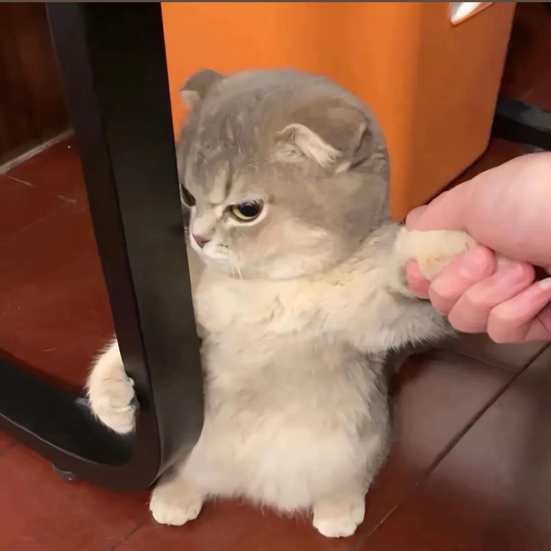 哈哈开心乐园