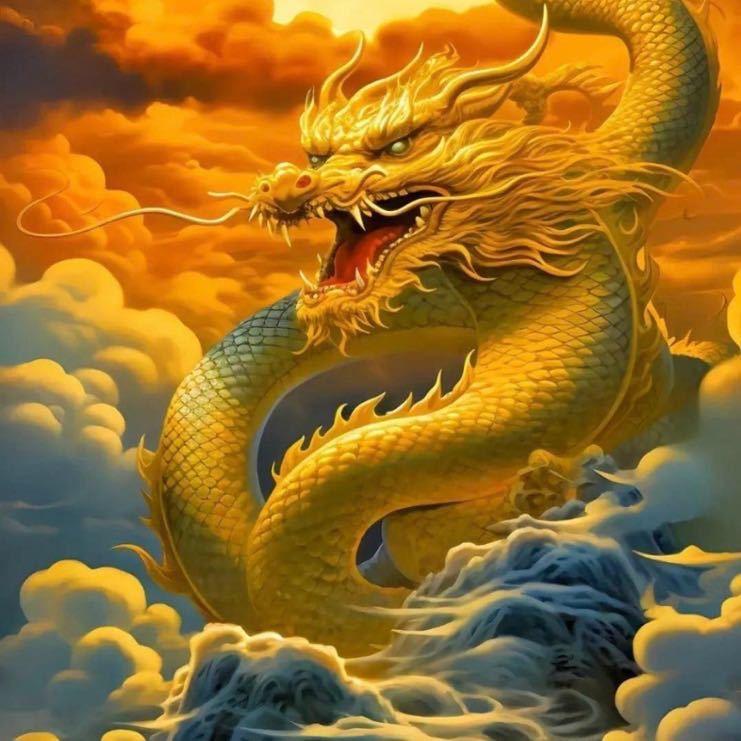 金龙