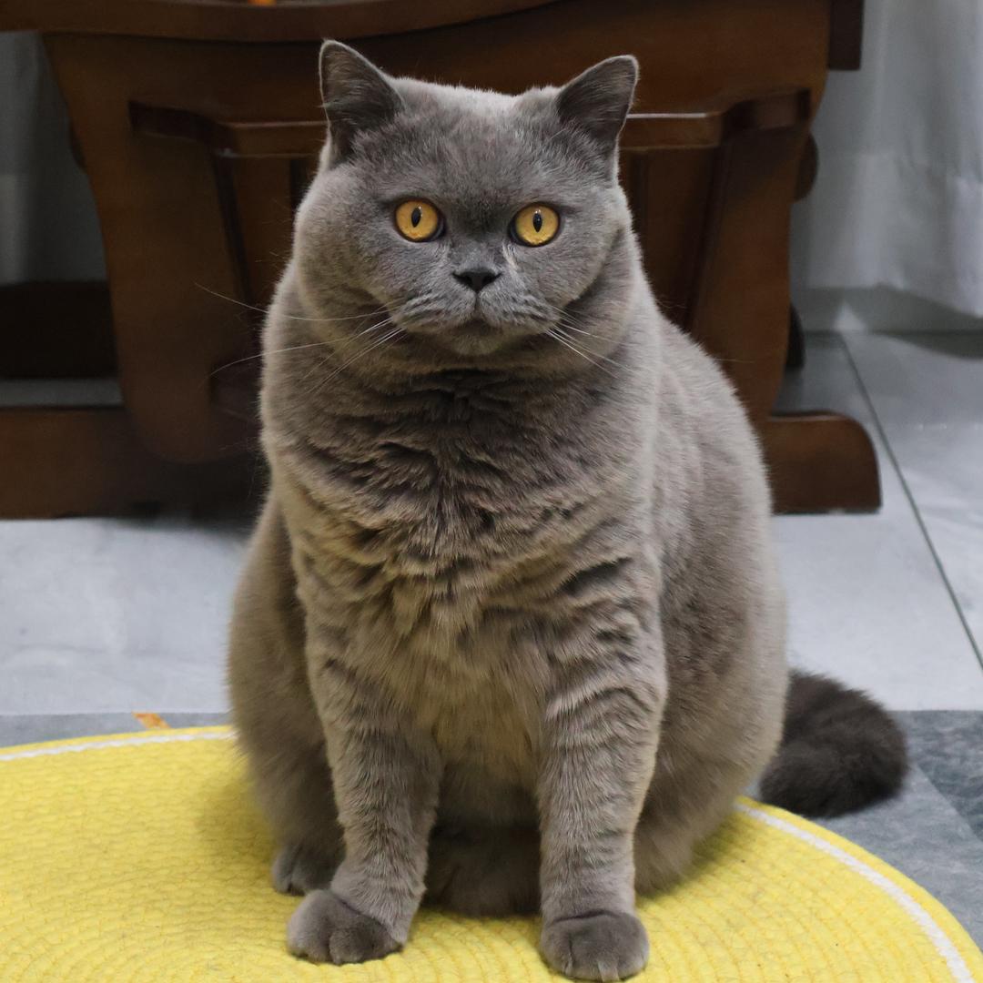 片尾有彩蛋吗🌈