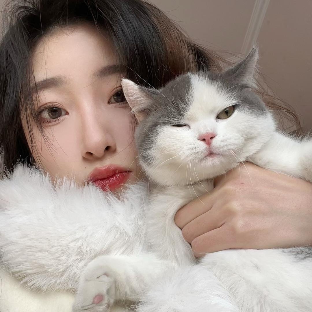 芝麻小汤圆🐈