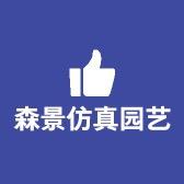 森景工艺品