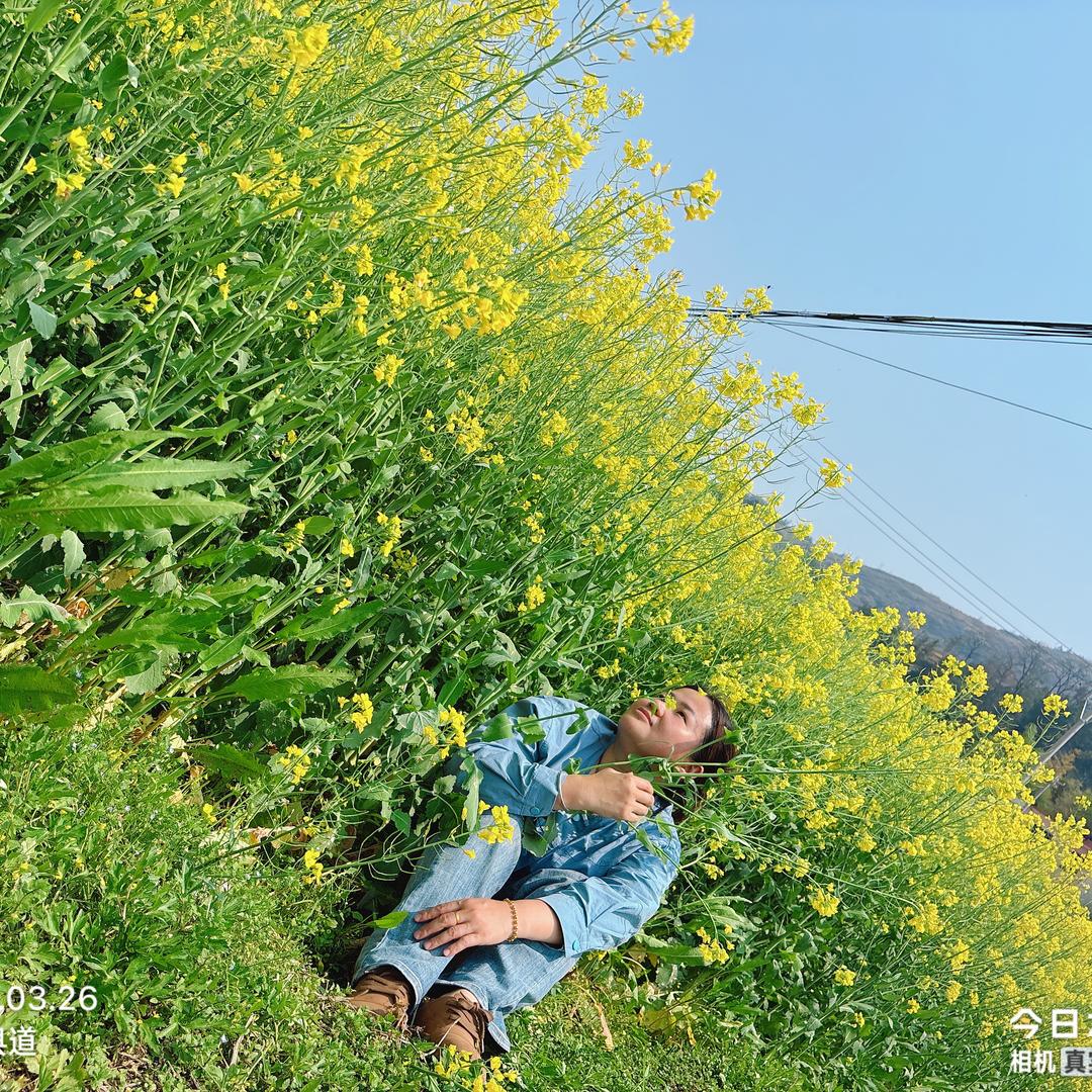 南有乔木，不可思休