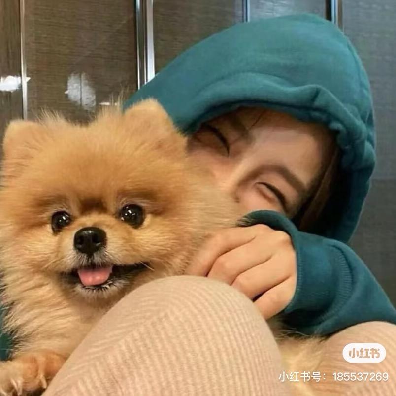 开心哇|・ω・`)