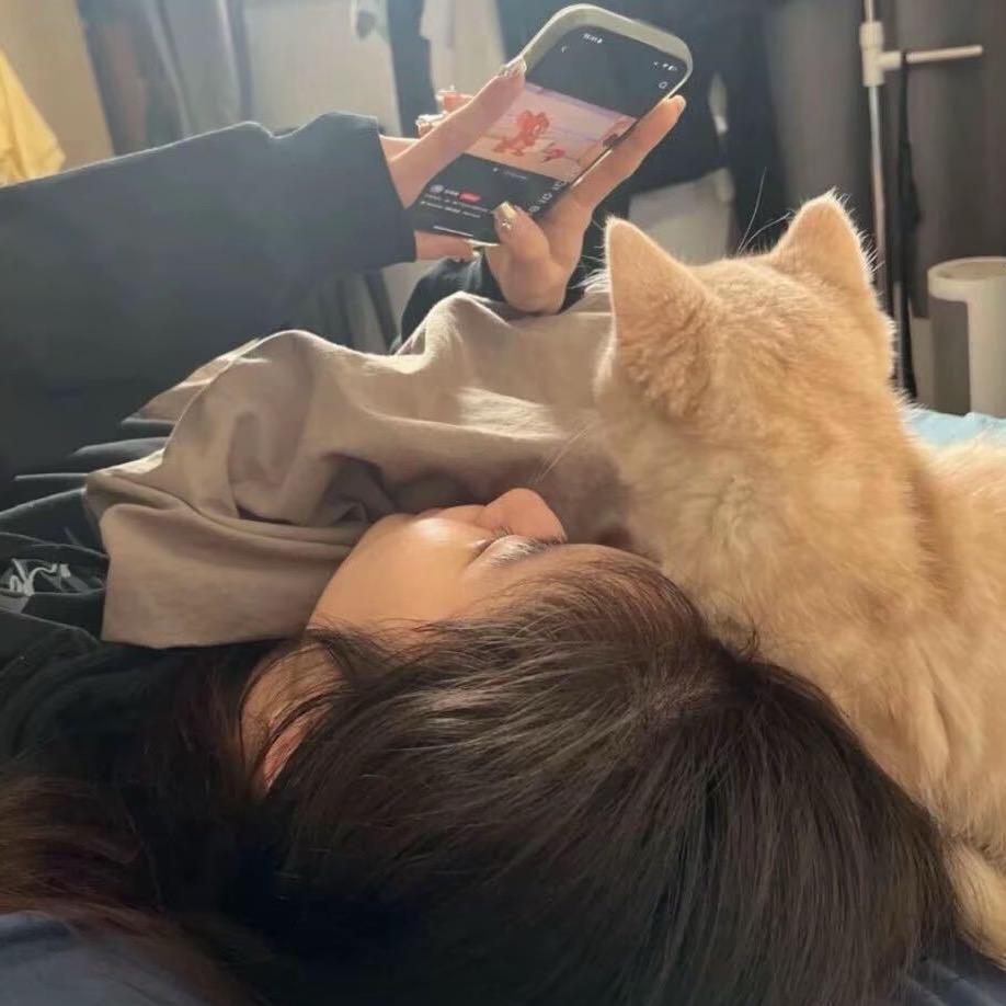 呆呆猫.