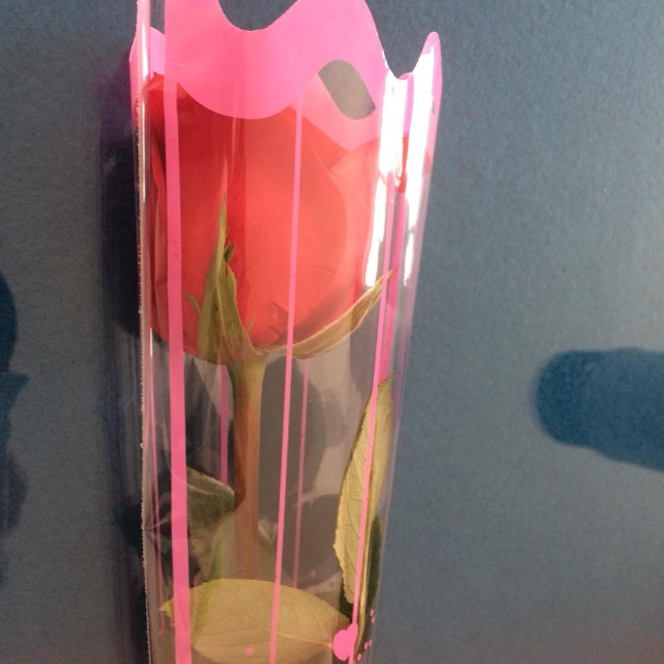 润诺麻麻
