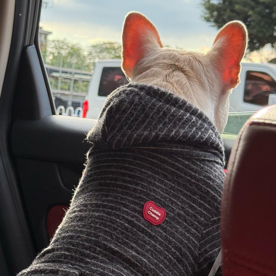 养牛日记（法斗六一）