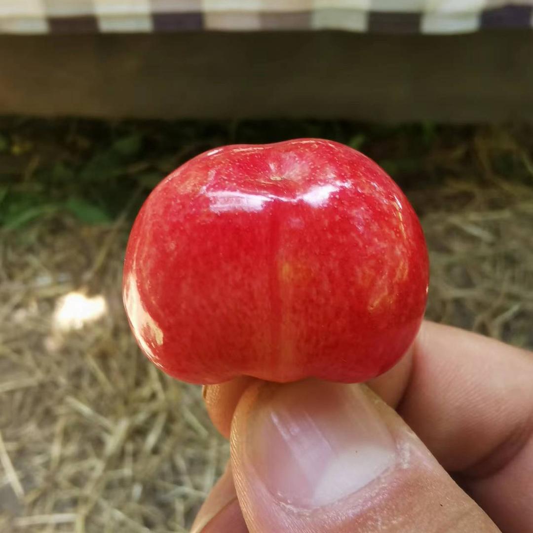 双昊农产品优选