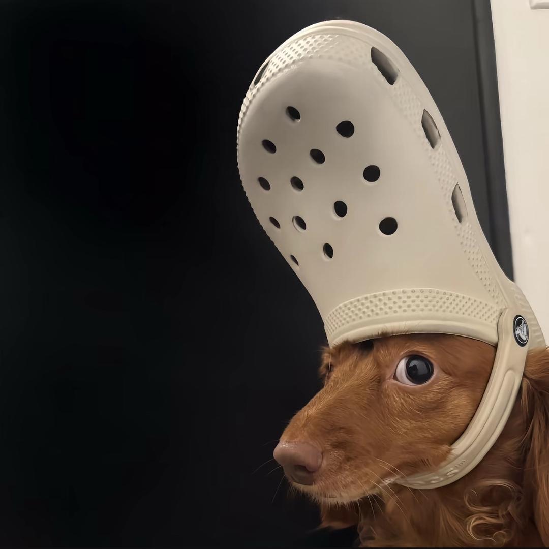 没穿裤衩🐮很凉.