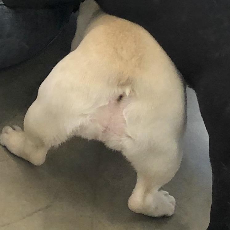 不是辣妹x