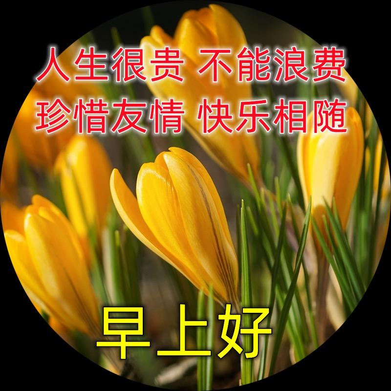 万里早上好⁸¹²