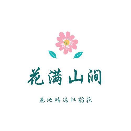 花满山涧