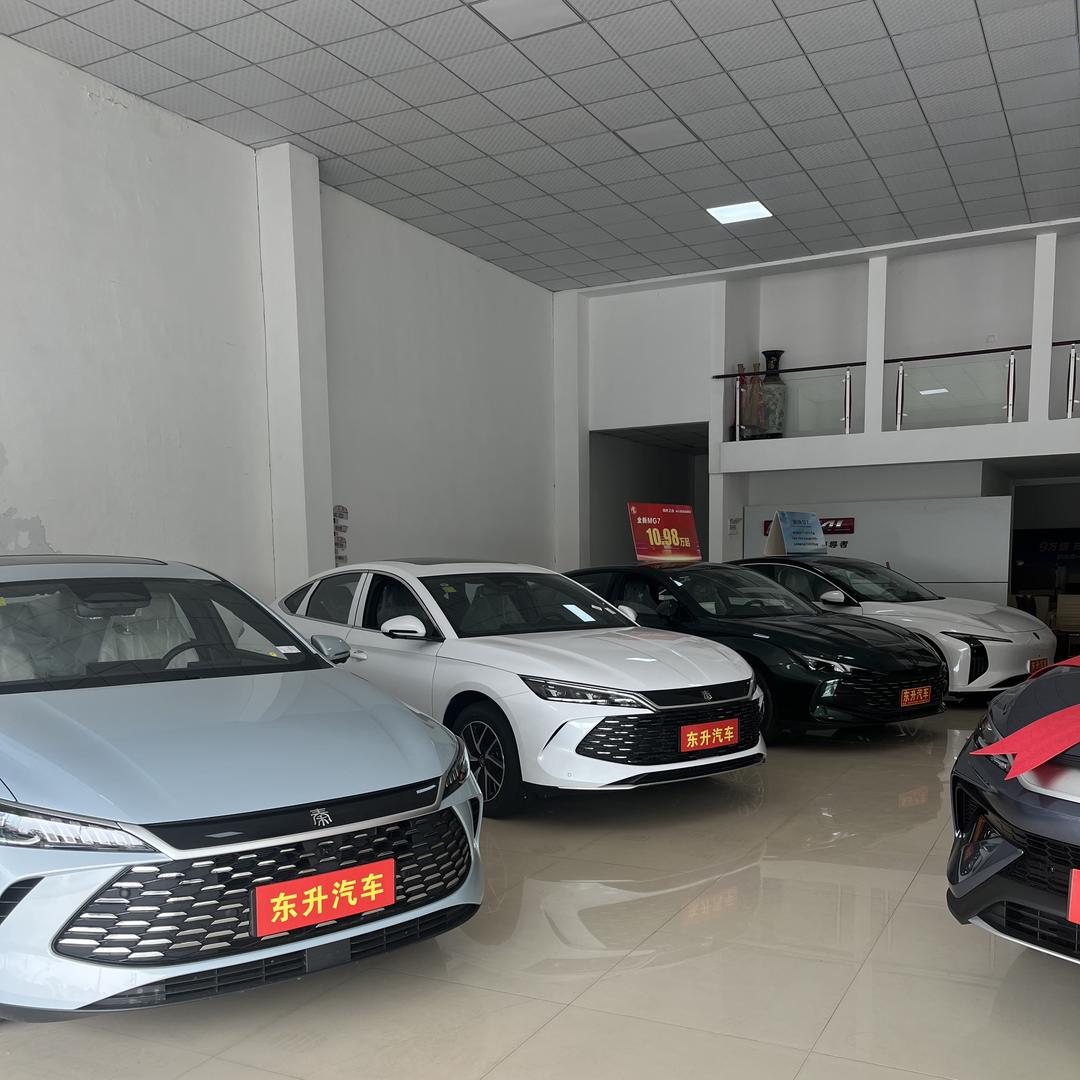 东升（君昇）汽车冯娟