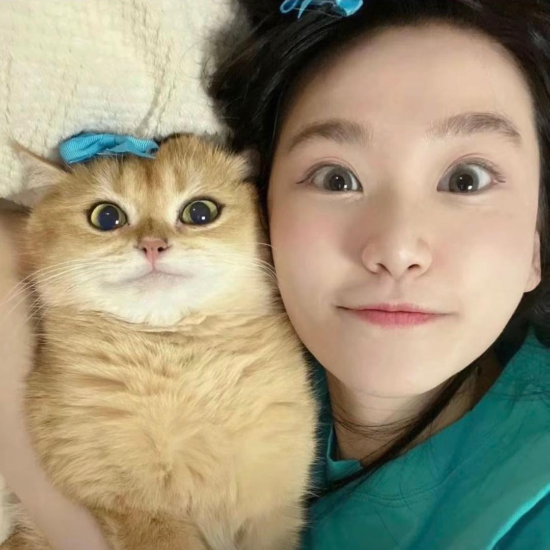 把戏多