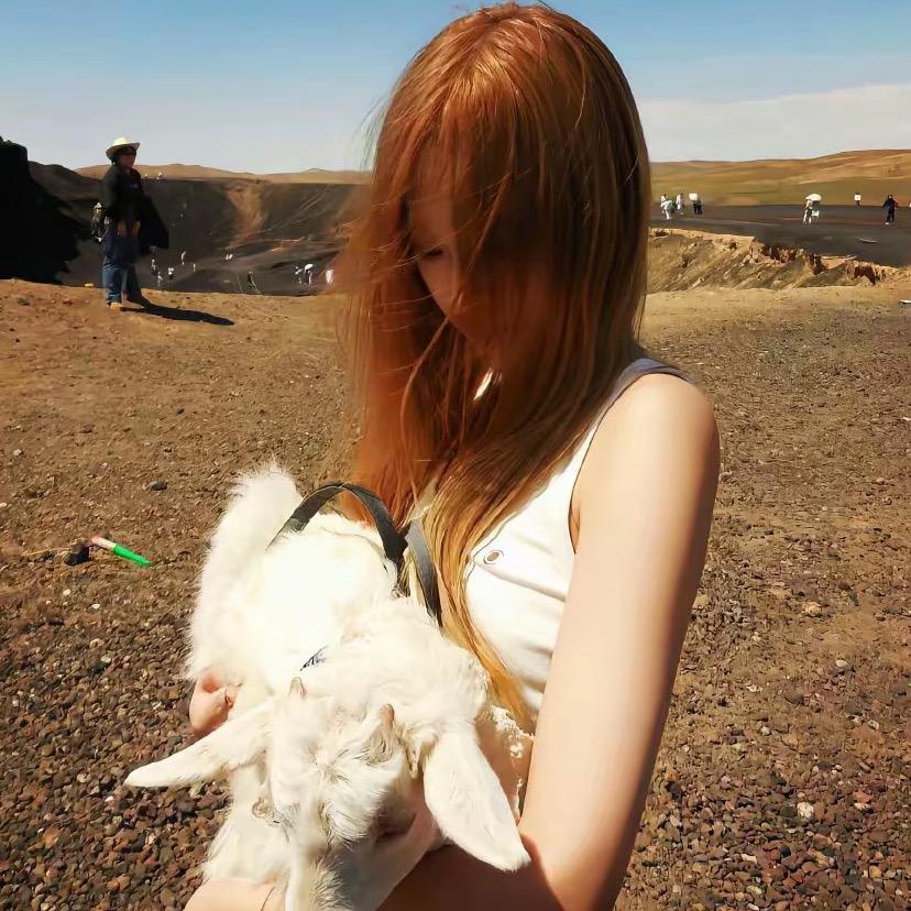 钢铁美🐑🐑