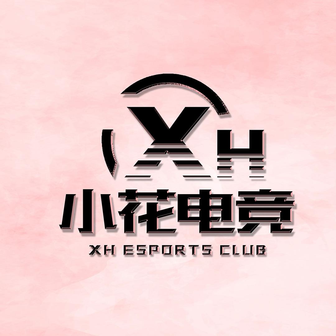 小花电竞