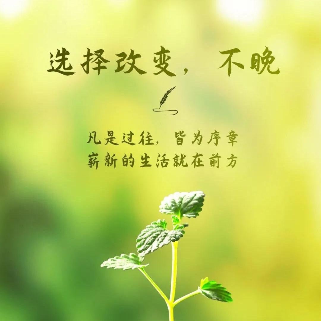 一句话