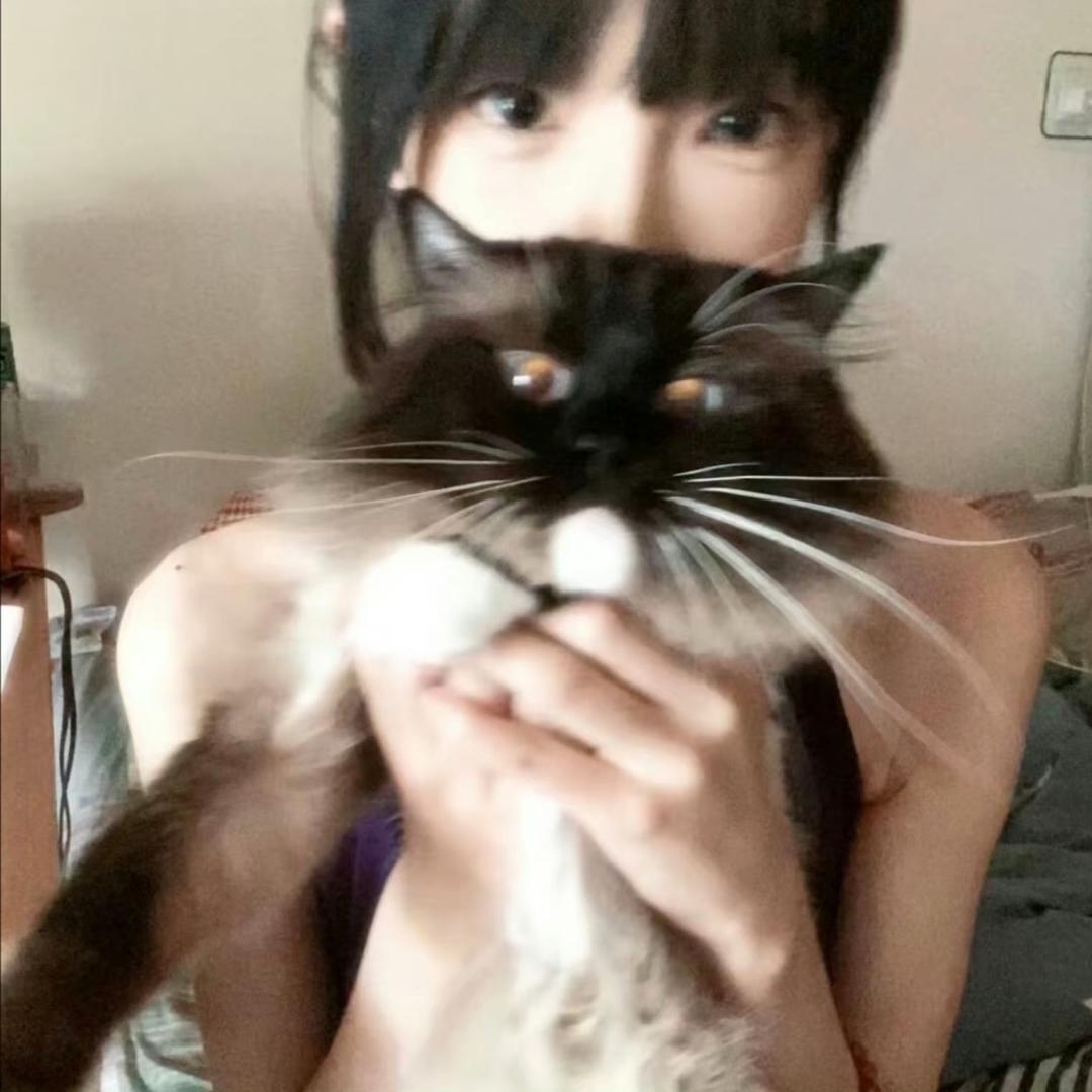 暗影黑少