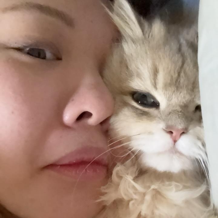 金贱层冬煤