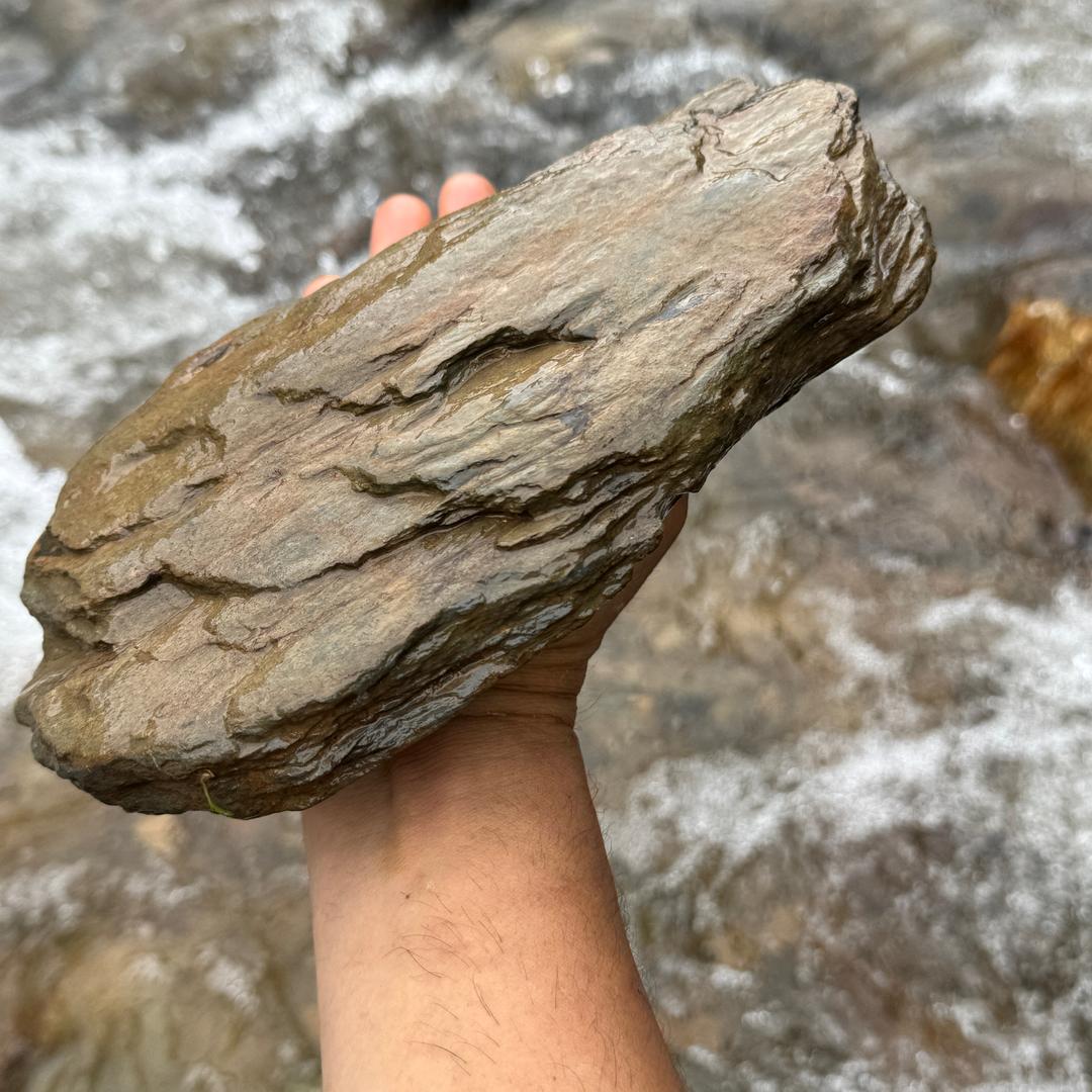老叁原野