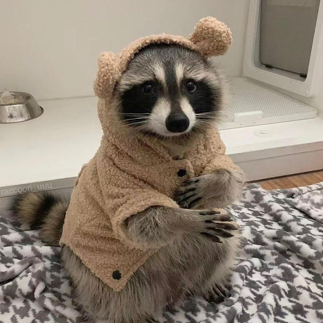 YI.