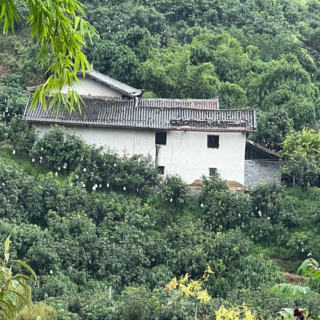 手中沙