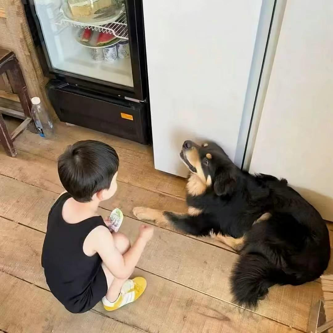 美金很值钱·