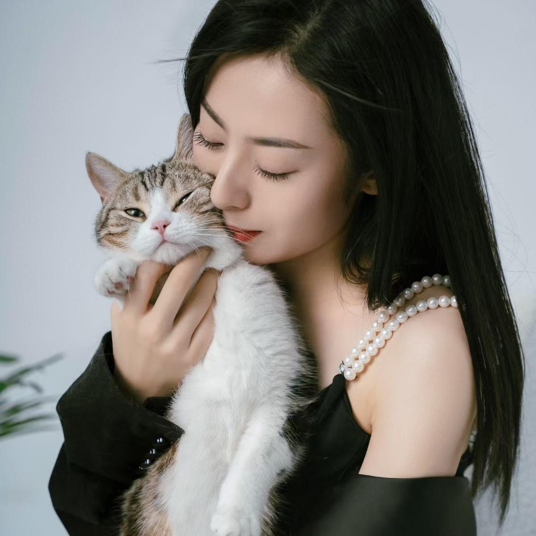 西西李的猫