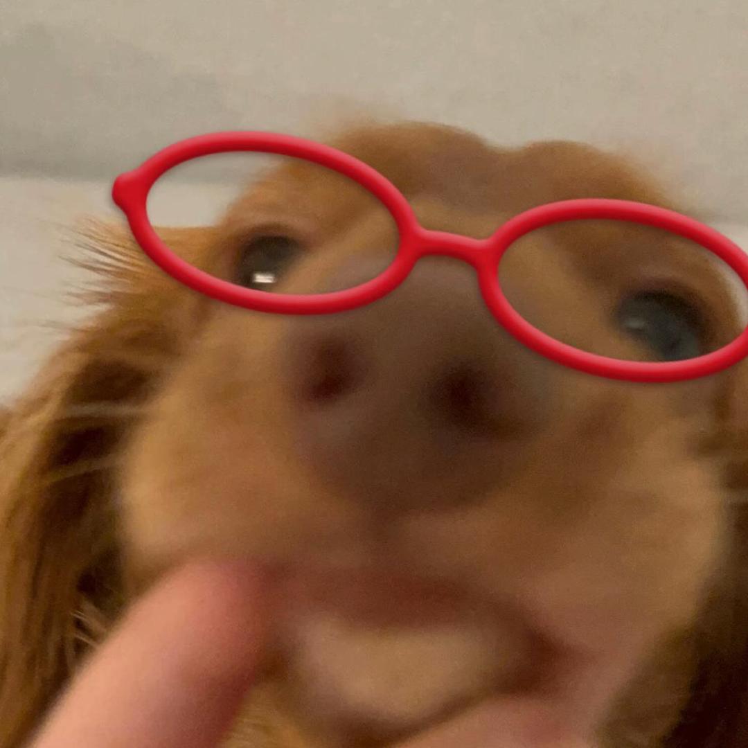 Ssssss·