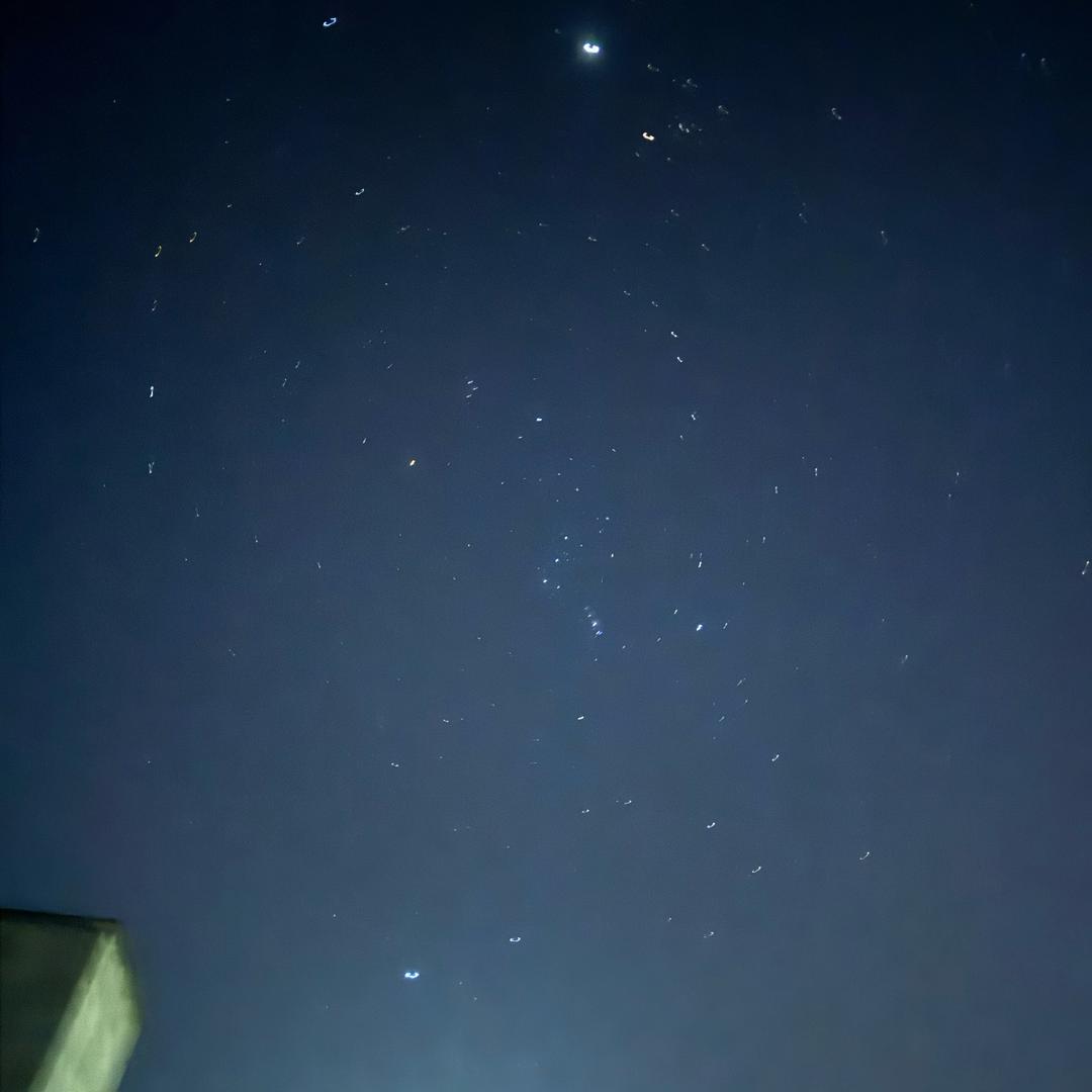 麦麦