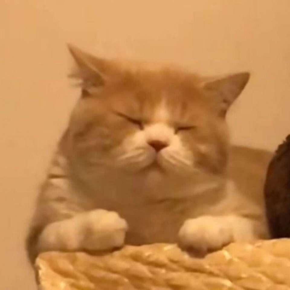 西索