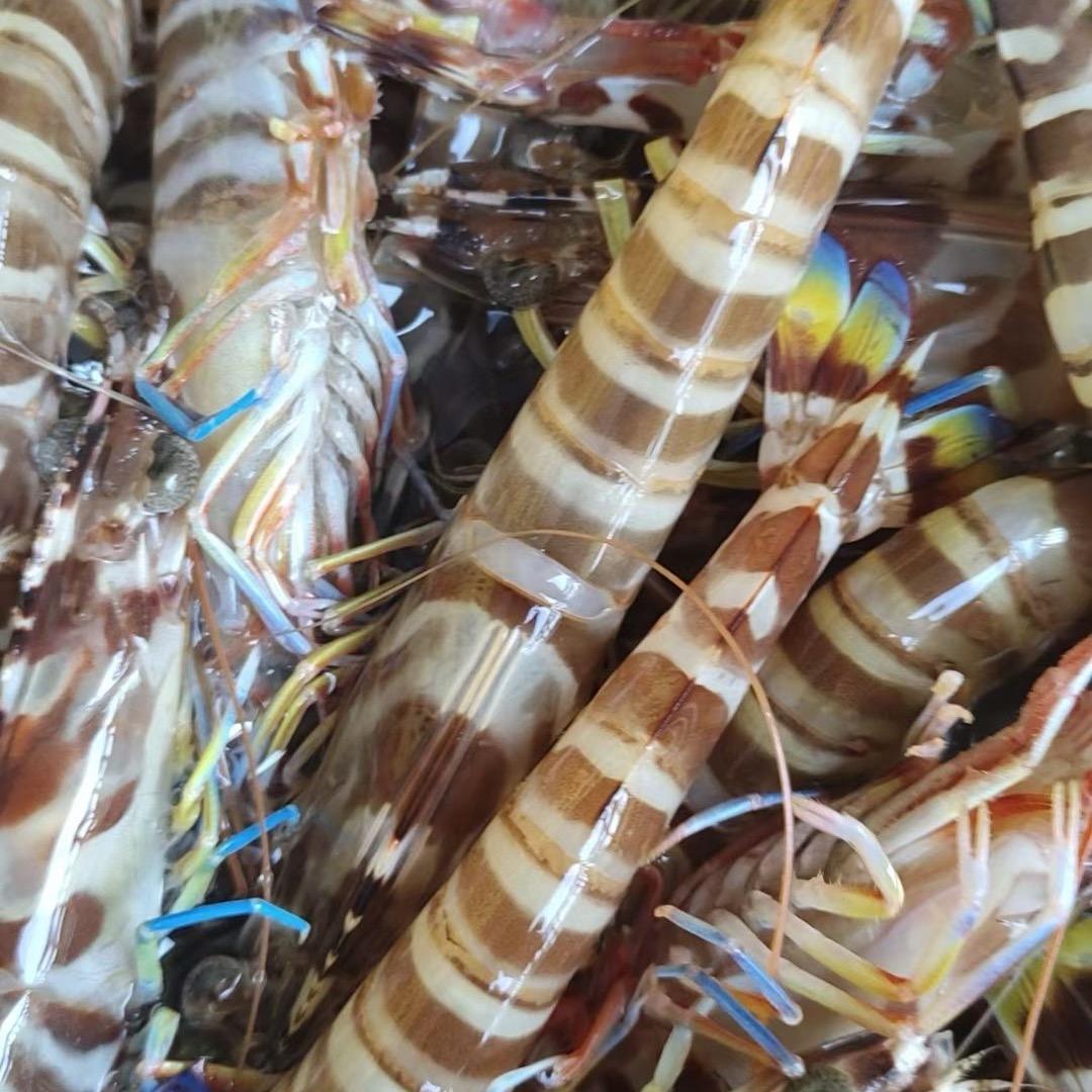 北海大海哥海鲜批发