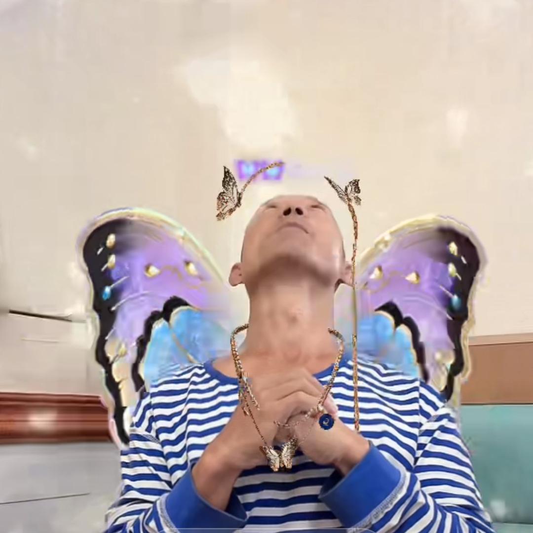 爱你滴❤️篷蓬蓬