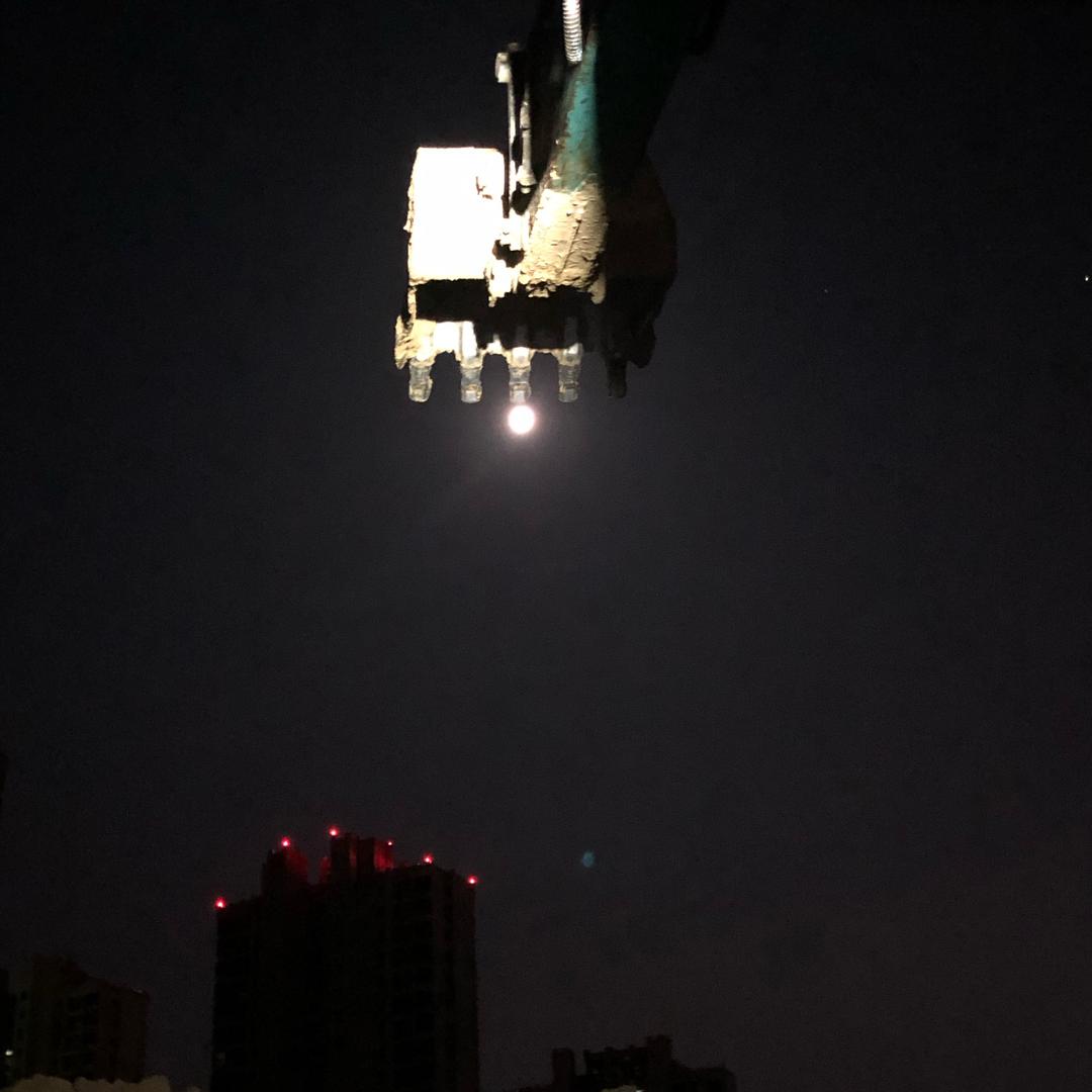 陈
