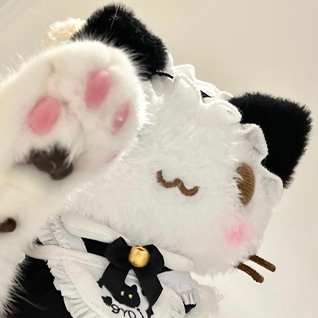 芝麻糊糊🐱