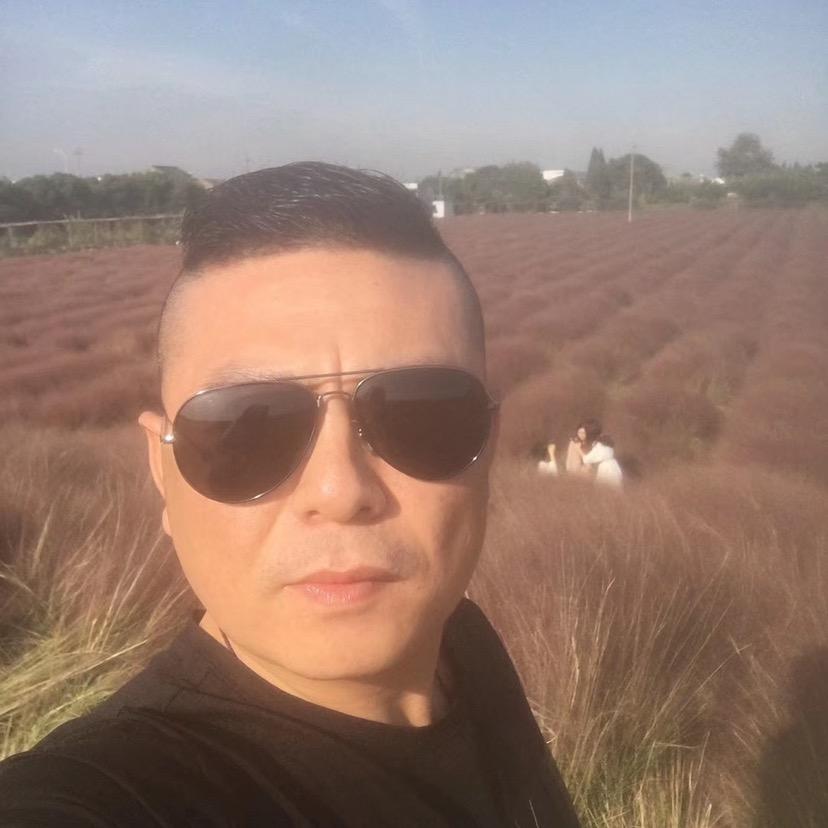 杨子刺青 江湖故事会