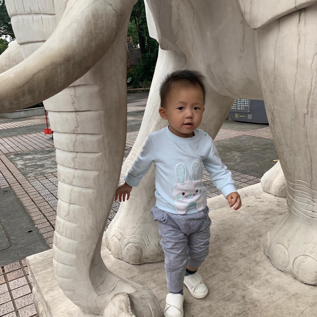 广州物流